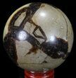 Polished Septarian Sphere - Madagascar #67846-1
